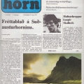 10 . eystra horn