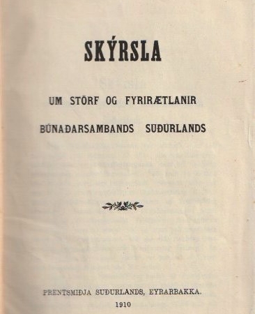 Skyrsla