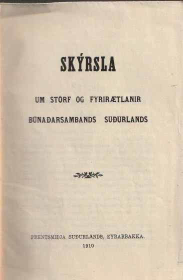 Skyrsla