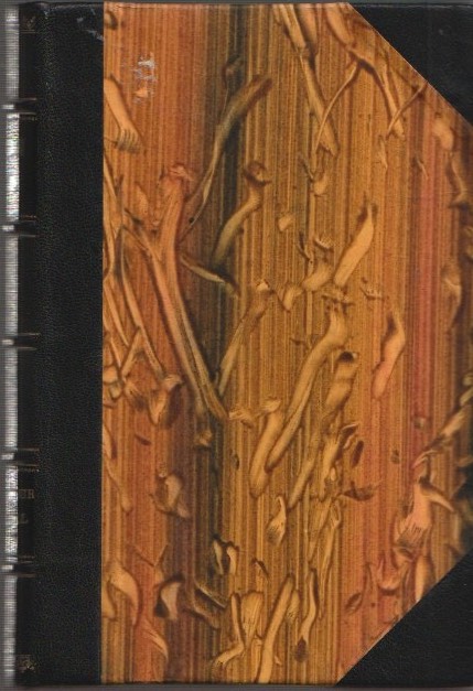 Voluspa